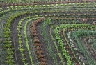 Killarney Heightsorganic-gardening-10.jpg; ?>