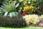 Killarney Heightsorganic-gardening-14.jpg; ?>