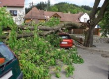 Kwikfynd Tree Cutting Services
killarneyheights